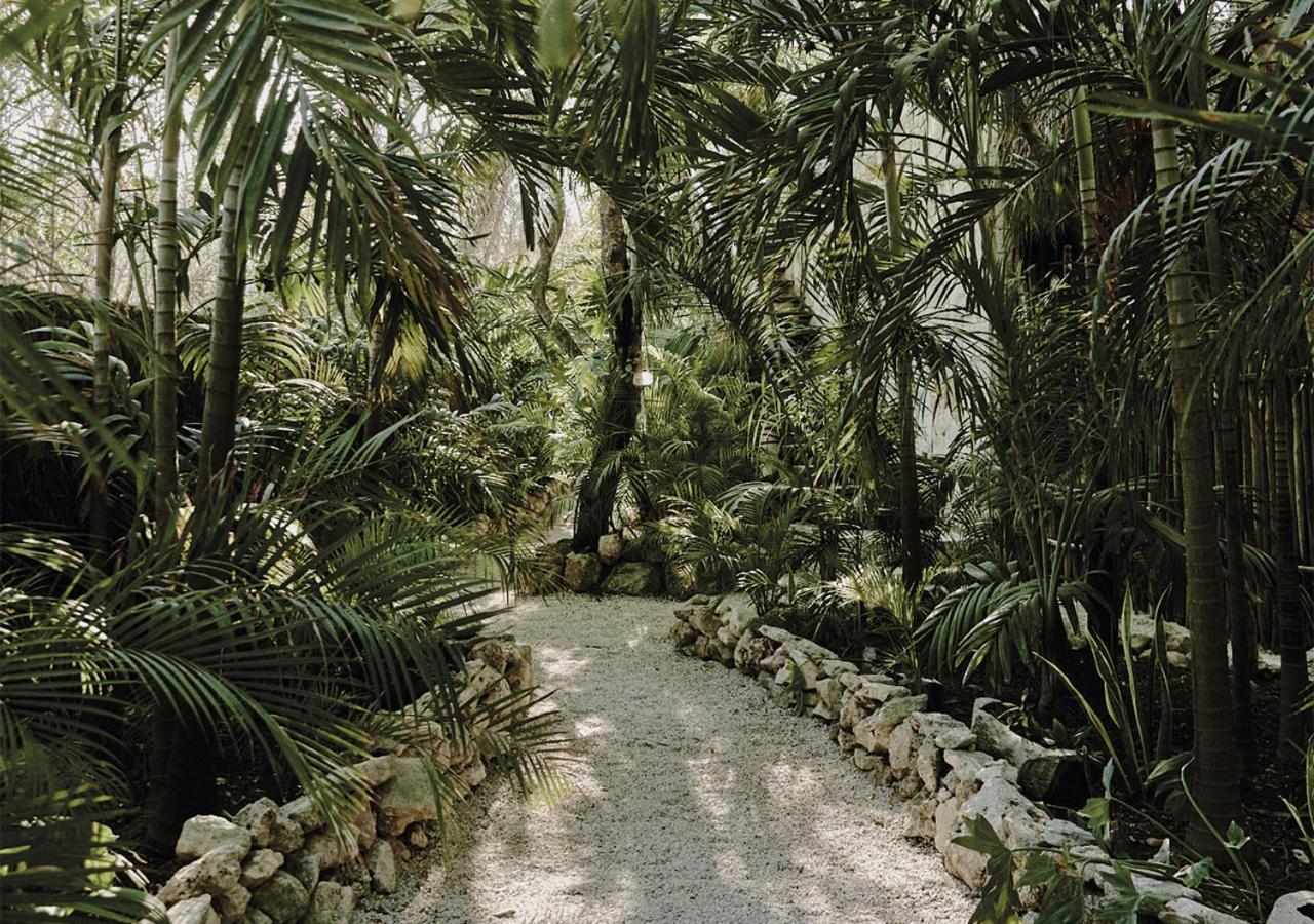 Una Vida Tulum Exterior foto